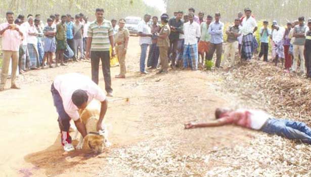 201702172226167350_people-killed-police-searching-mystery-gang_SECVPF