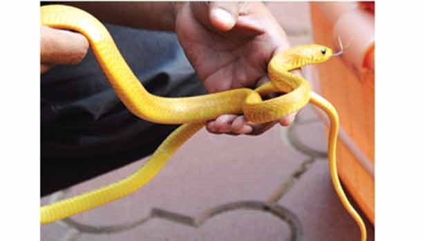 5724A3CA-E7D3-4AFE-87E6-D657B80A4FDB_L_styvpf