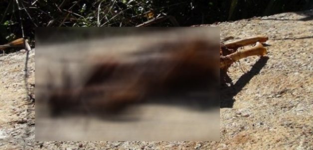 625.0.560.320.160.600.053.800.668.160.90