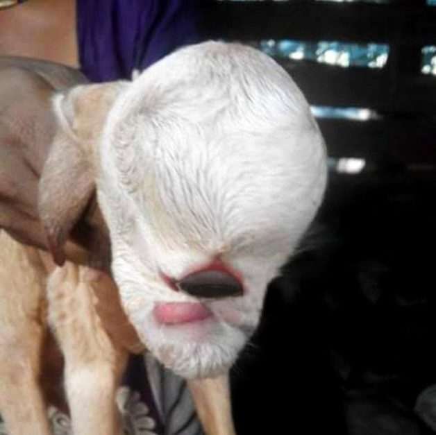 625.0.560.320.160.600.053.800.668.160.90