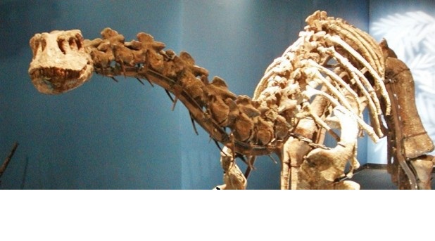 625.0.560.350.160.300.053.800.668.160.90