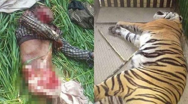 625.0.560.350.160.300.053.800.668.160.90