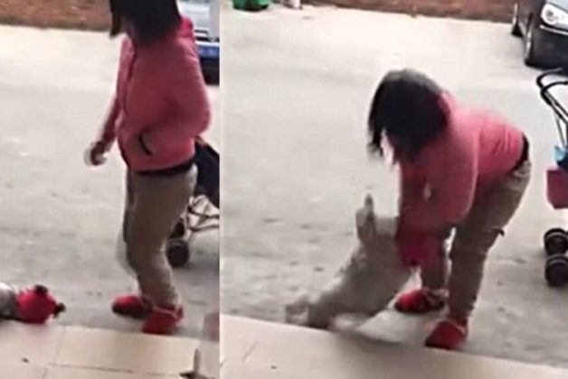 625.500.560.350.160.300.053.800.748.160.70 (1)