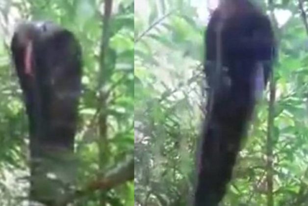 625.500.560.350.160.300.053.800.748.160.70