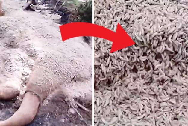 625.500.560.350.160.300.053.800.748.160.70