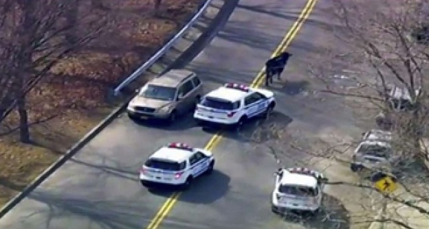 625.500.560.350.160.300.053.800.900.160.90