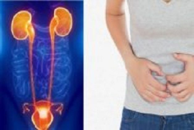 சிறுநீரக-தொற்றா-உண்மை-தெரிந்துகொள்ளுங்கள்