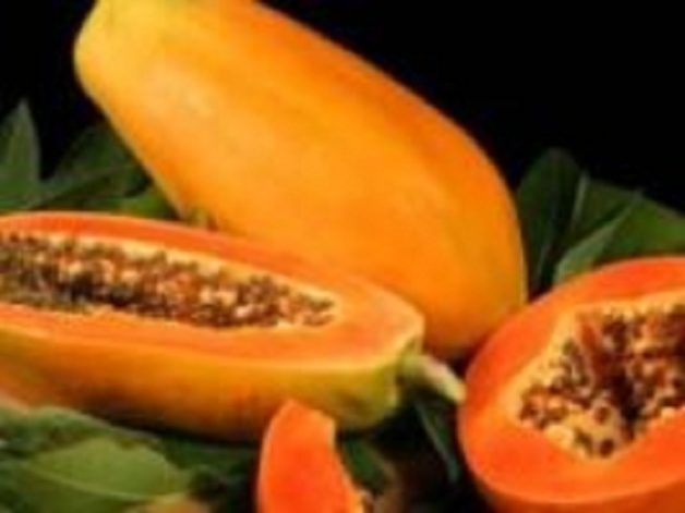 பப்பாளி-பழத்தில்-இவ்வளவு-பெரிய-ஆபத்து-உள்ளதா-1