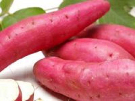 புண்களை-ஆற்றும்-வள்ளிக்கிழங்கு