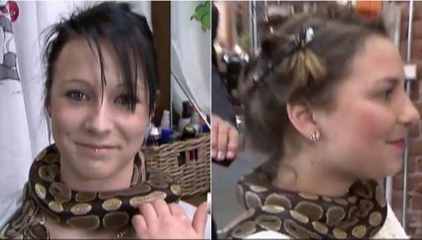 201703201105446740_German-salon-uses-python-to-give-customers-neck-massages_SECVPF