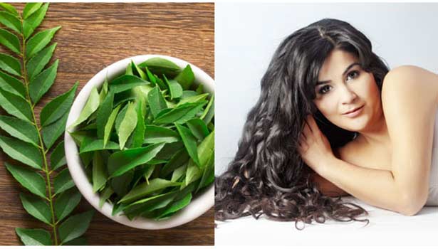 201703211121402590_curry-leaves-for-hair-growth_SECVPF