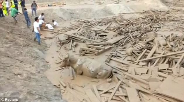 3E55237C00000578-0-image-a-225_1489677725665