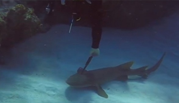 5-நிமிடத்தில்-முகத்திற்கு-பொலிவு-தரும்-வாழைப்பழம்