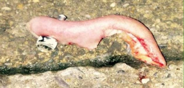 625.0.560.320.160.600.053.800.668.160.90