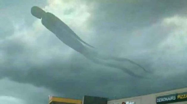 625.0.560.350.160.300.053.800.668.160.90 (1)