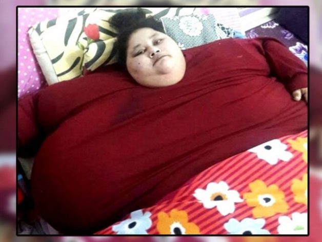 625.0.560.350.160.300.053.800.668.160.90 (1)