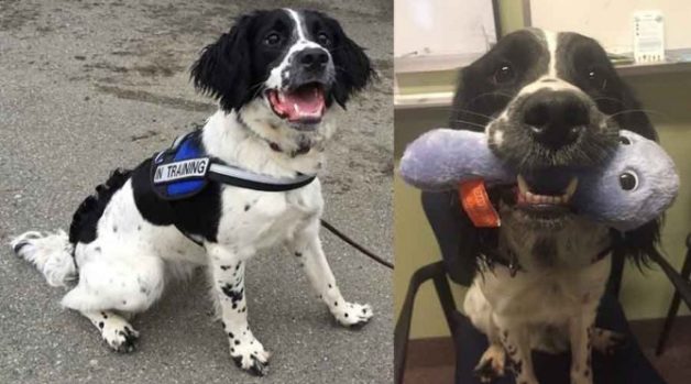 625.0.560.350.160.300.053.800.668.160.90