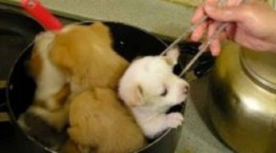 625.117.560.350.160.300.053.800.210.160.90