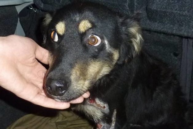 625.500.560.350.160.300.053.800.748.160.70