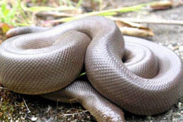 625.500.560.350.160.300.053.800.748.160.70 (2)