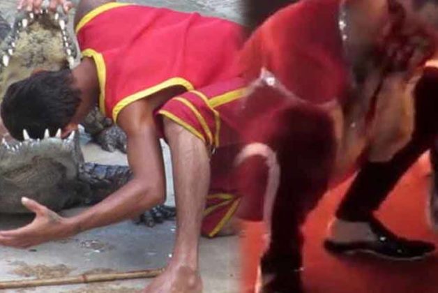 625.500.560.350.160.300.053.800.748.160.70 (2)