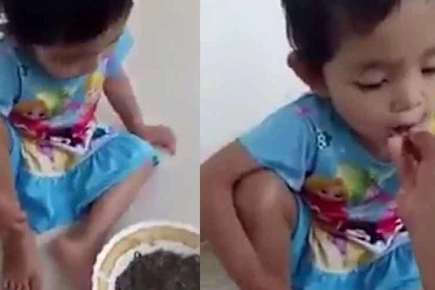 625.500.560.350.160.300.053.800.748.160.70 (2)