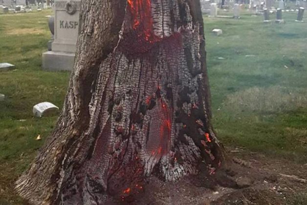 625.500.560.350.160.300.053.800.748.160.70