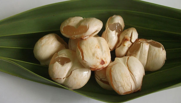 201704011347341852_body-cooling-summer-special-nungu-fruit_SECVPF