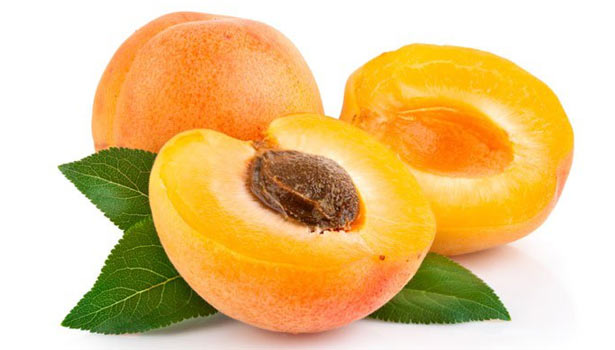 201704071135049076_Apricot-fruit-for-healing-digestive-problems_SECVPF