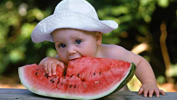 201704091154047126_watermelon-is-summer-cooling_SECVPF