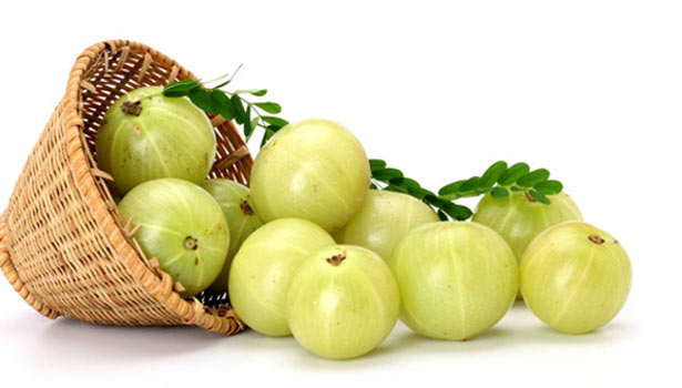 201704201436000176_Gooseberry-gives-immunity_SECVPF