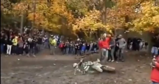 3FA80FA100000578-0-image-a-31_1493294943272