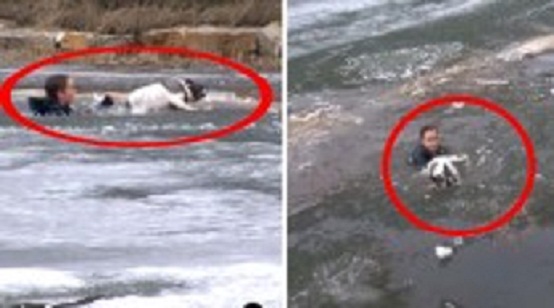 625.117.560.350.160.300.053.800.210.160.90 (5)