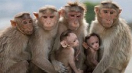 625.117.560.350.160.300.053.800.210.160.90