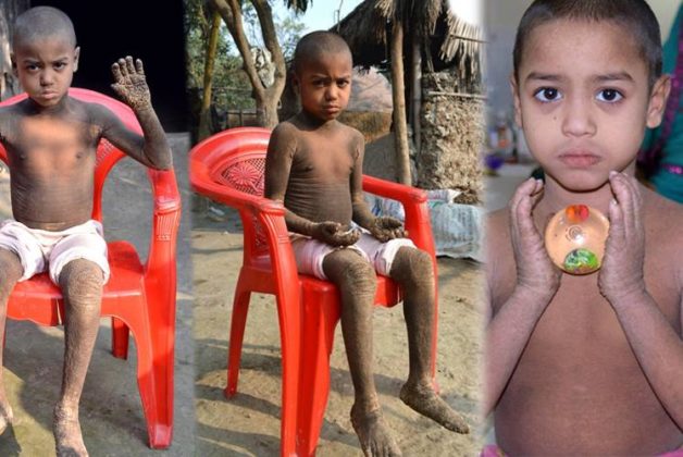 625.500.560.350.160.300.053.800.748.160.70 (1)