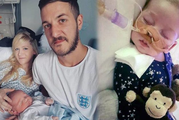 625.500.560.350.160.300.053.800.748.160.70