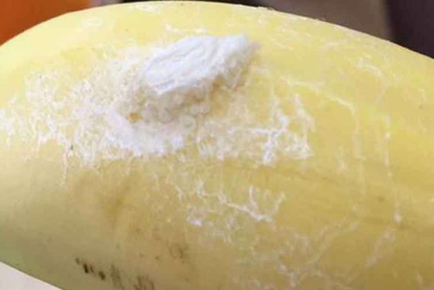 625.500.560.350.160.300.053.800.748.160.70 (2)