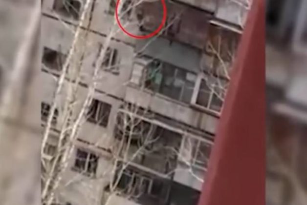 625.500.560.350.160.300.053.800.748.160.70 (2)