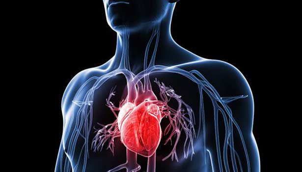 201705010905581517_protect-yourself-from-heart-disease_SECVPF