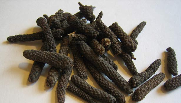 201705071023215345_Cough-and-cold-best-medicine-for-thippili-Piper-longum_SECVPF