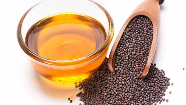 201705141041332288_Mustard-oil-that-controls-body-fat_SECVPF