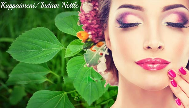 201705171350123025_kuppaimeni._L_styvpf