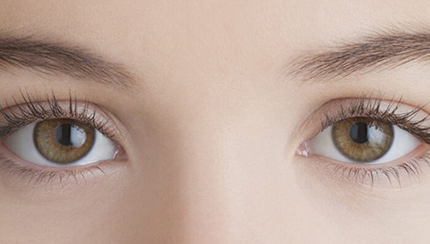 201705220829194893_You-can-learn-about-the-eyes_SECVPF