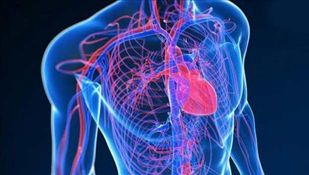 201705261345589641_Blood-vessels-cure-natural-medical_SECVPF