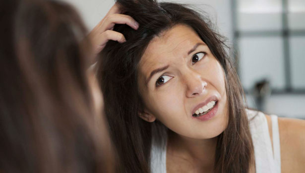 201705271001331261_louse-in-hair-problem-control-natural-tips_SECVPF