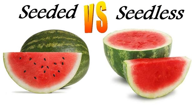 201705290832366547_Seedless-fruit-dangerous_SECVPF