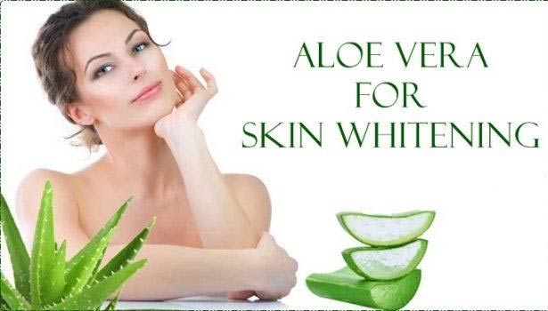 201705291334277228_How-to-use-aloe-vera-to-protect-skin_SECVPF