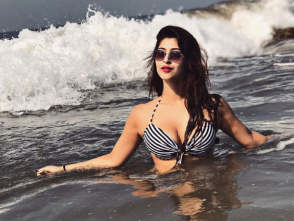 30-1493550989-sonarika