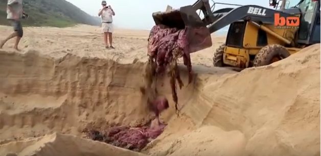 625.0.560.320.160.600.053.800.668.160.90 (1)