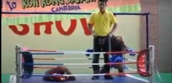 625.0.560.320.160.600.053.800.668.160.90